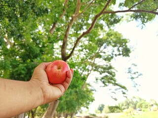 Plant-based life feels refreshing