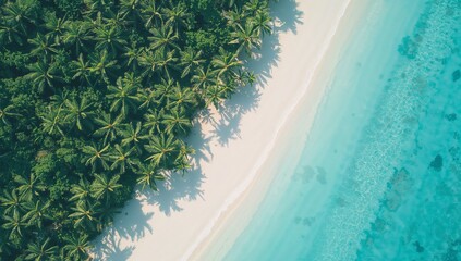 Showing tropical coast featuring palm grove casting shadows on white sand beach, turquoise ocean