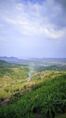 Fototapeta premium Scenic tropical valley with banana trees, lush greenery, and distant mountain horizon under clear blue sky, peaceful nature travel scene.