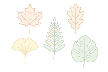 Fototapeta premium Minimalist collection of various botanical leaves in soft pastel colors on a white background