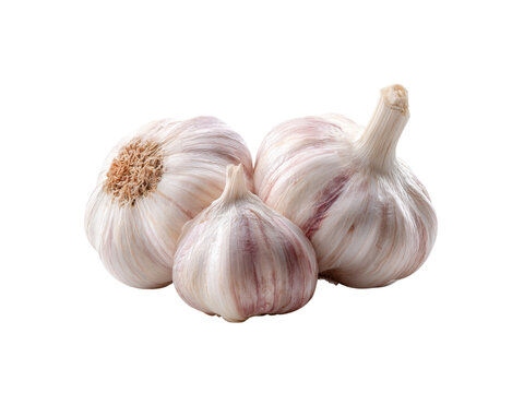 Three white garlic bulbs with purple stripes image, Isolated, Png Transparent Background
