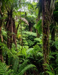 Tropical jungle filled with ferns and vines showing biodiversity and lush vegetation