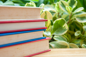 Stack of books and black clock on table with green leaves background with customizable space for text or ideas.