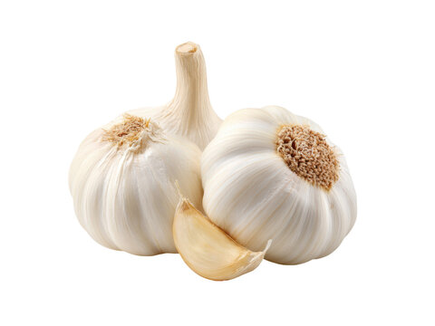 Whole garlic bulbs and clove white food, Isolated, Png Transparent Background