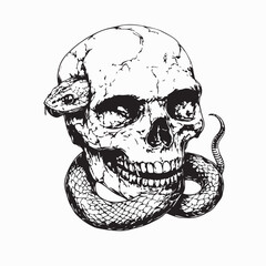 Scary Snake Emerging from Human Skull Vector Illustration