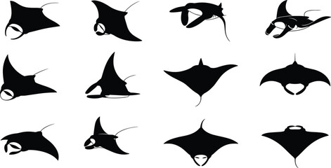 Manta ray silhouette collection, black marine animal icons, ocean wildlife vector set, swimming poses, cephalic fins, top and side views