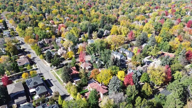 Vibrant Denver suburban zone showing straight tree-lined street, colorful fall leaves, two-story homes pitched roofs, solar panels, set within quiet upscale residential grid layout near downtown