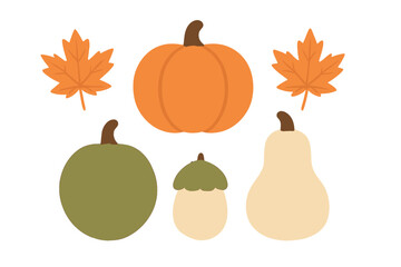 Colorful assortment of pumpkins and vibrant autumn maple leaves