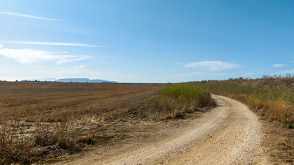 Dirt path through the countryside.