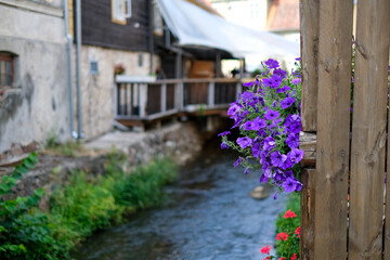 Fototapeta premium Vibrant purple flowers hang from wooden railing beside a serene stream, with rustic buildings and lush greenery creating a picturesque outdoor scene