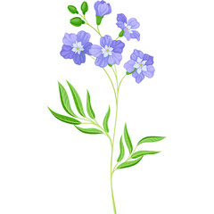 Delicate sprig of lavender flowers with green leaves isolated on white background vector illustration