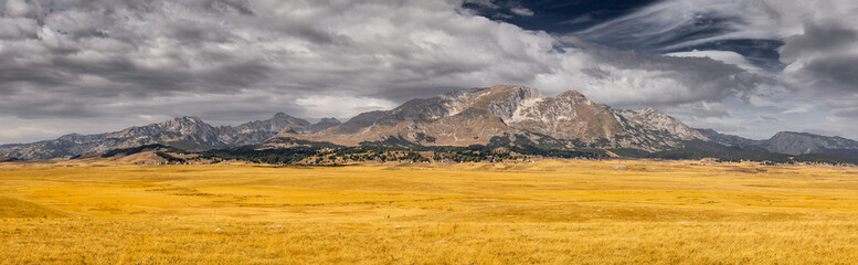 Panoramic view capturing rugged mountains bordering a vast golden field under a dramatic and moody...