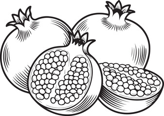 Pomegranate sketch, Pomegranate Fruits Drawing Vector for Coloring Book, black and white fruit, pomegranate, grape, set, vector, illustration.