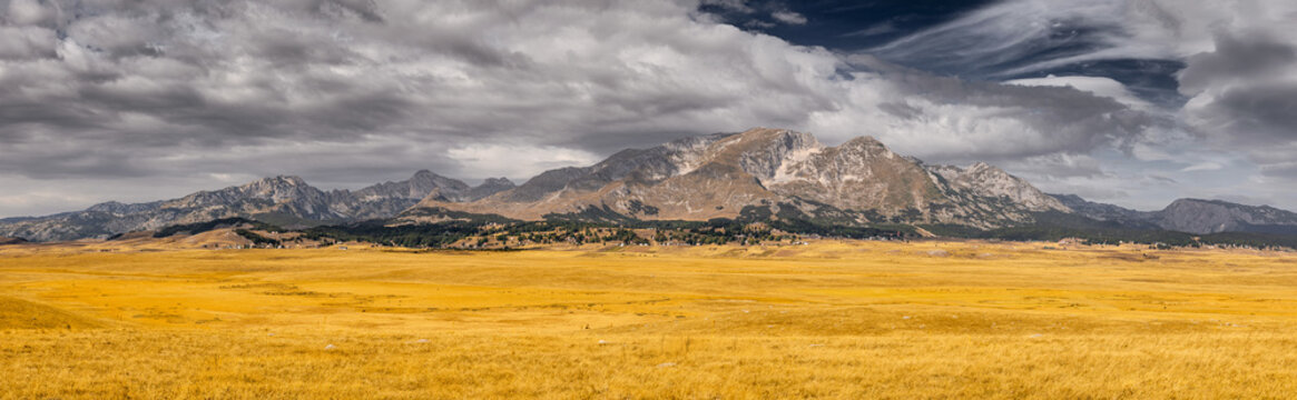 Panoramic view capturing rugged mountains bordering a vast golden field under a dramatic and moody sky, evoking wilderness