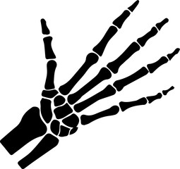 Anatomy glyph icon set. Vector pictograms of body organs, bone, skeleton, spine, eye, ear, nose, mouth, lips, hand, foot, stomach, kidneys, bladder, black sign silhouette illustration.