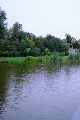Calm water reflects the green trees and houses on the shore on a cloudy day.