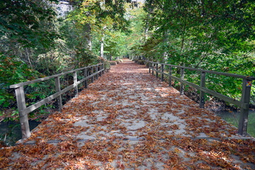 A walking bridge covered with fallen autumn leaves in the park. Location: Deurne, Antwerp (Belgium)