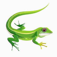 Fototapeta premium Grüner Anolis auf weißem Hintergrund