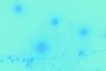 water drops on the window