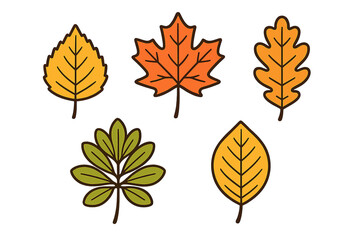 Five stylized deciduous tree leaves in vibrant autumn colors