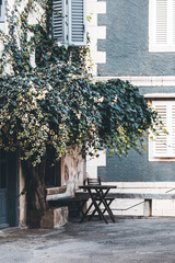 old street in the village of montona, in croatia, with small table with chairs and a lot of ivy