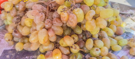Close-up of Ripe Grapes and Seasonal Fruits