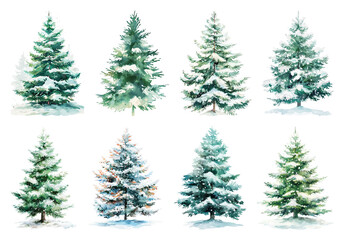 Fototapeta premium PNG Watercolor snowy evergreen trees, element set on transparent background