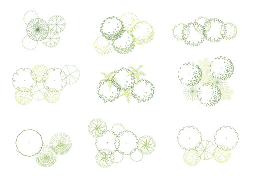 architecture drawing plant tree top view plan greenery vegetation vector. design nature architectural landscape set element illustration bush garden flora sapling minimal. architect isolated.