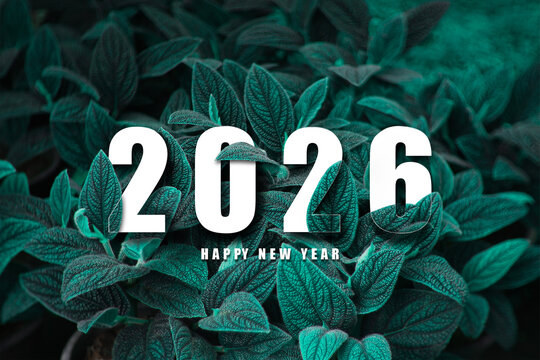  New year 2026  concept of transformative tree of dark blue and sea green shades, symbolizing regeneration balance and renewal in  New year 2026 blending nature design and digital future.
