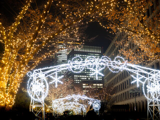 中之島・イルミネーション