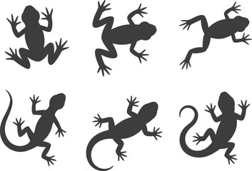 Fototapeta premium Vector illustration of lizard and frog silhouettes for graphic design needs