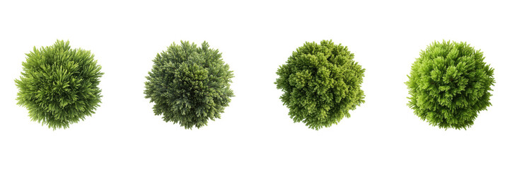 Obraz premium Top View Of Four Lush Green Bushes Set. Nature And Landscaping Design Collection Isolated On Transparent Background