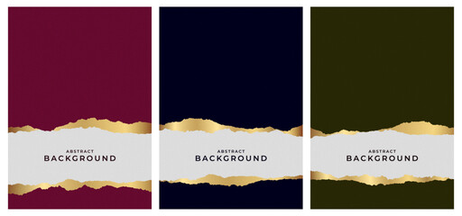 Elegant design with an irregular contour texture. A combination of color, gold effect, and texture. Ideal for product design, covers, labels, and corporate backgrounds. Vector illustration