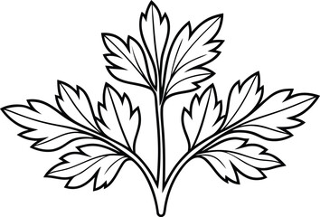 Flowers and Plants Illustration Collection. Botanical Flower and Plant Artwork. Modern Flower and Plant Designs. Stylish Flowers and Botanical Illustration. Natural  Floral and Plant Artwork Set