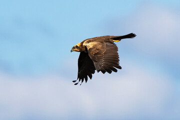 Obraz premium _DSC0581.NEF