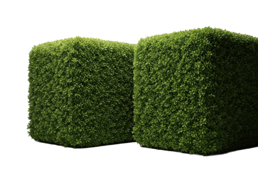 Two hyperrealistic emerald green hedge blocks, sculpted with crisp edges and dew-kissed leaves, in an isolated studio with dramatic chiaroscuro lighting, natural geometric perfection concept
