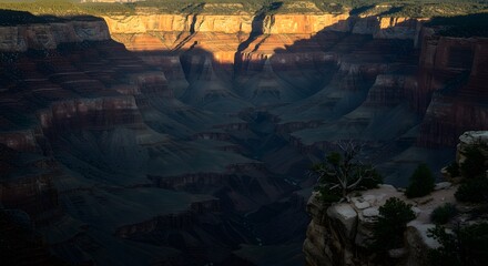 The deep, permanent shadow in a north-facing canyon.