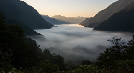 The early morning mist settled in a deep valley.