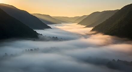The early morning mist settled in a deep valley.