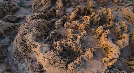 The intricate, honeycomb-like patterns of tafoni weathering.