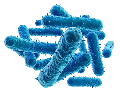 A 3D render of elongated, textured, blue rod-shaped bacteria or microorganisms against a dark background