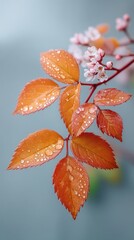 Moody Autumn Leaves Covered in Dewdrops with Delicate Pink Blossoms on a Twig with Soft Blue Background Lighting Style