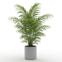 Obraz premium Lush green potted areca palm plant for home decor and interior design