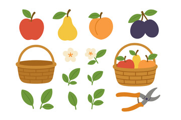 Fresh autumn harvest fruits and gardening tools including baskets and pruning shears