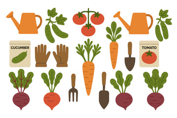 Assortment of fresh organic vegetables and essential gardening tools for planting and harvest