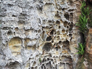 Naturally eroded rocks at Lan Hin Noh at Pa Hin Ngam National Park, Chaiyaphum Province.. Ancient rocks have grass growing in the crevices of the rocks. The natural beauty at Hin Noh Square   
