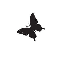 Butterfly Silhouette