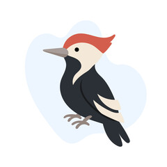 Colorful Woodpecker with Distinctive Plumage Perched Gracefully Against a Soft, Abstract Background . Forest animal and Woodland fauna