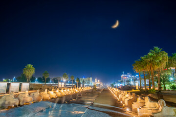 Night view of the newly opened Avenue of Sphinxes leading to the illuminated columns and ruins of...