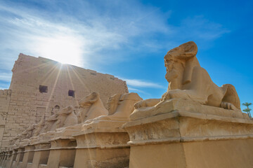 Close up of the ram headed sphinx statues lining the avenue leading to the massive First Pylon of the ancient Karnak Temple Complex in Luxor, Egypt, under a bright sun.